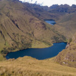 Quishuar