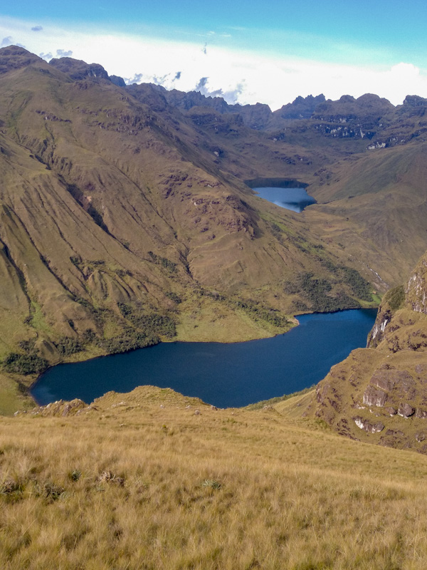 Quishuar