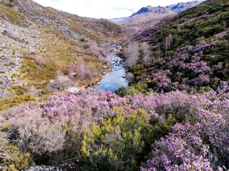 Portugal