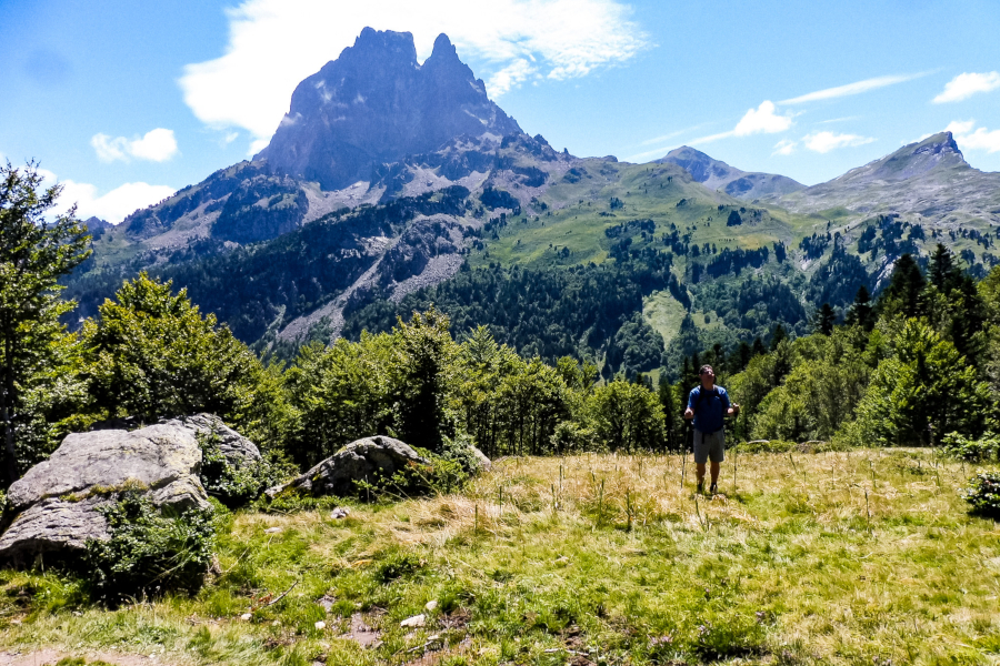 Pico de oso